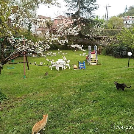 King Hotel Fiuggi Dış mekan fotoğraf