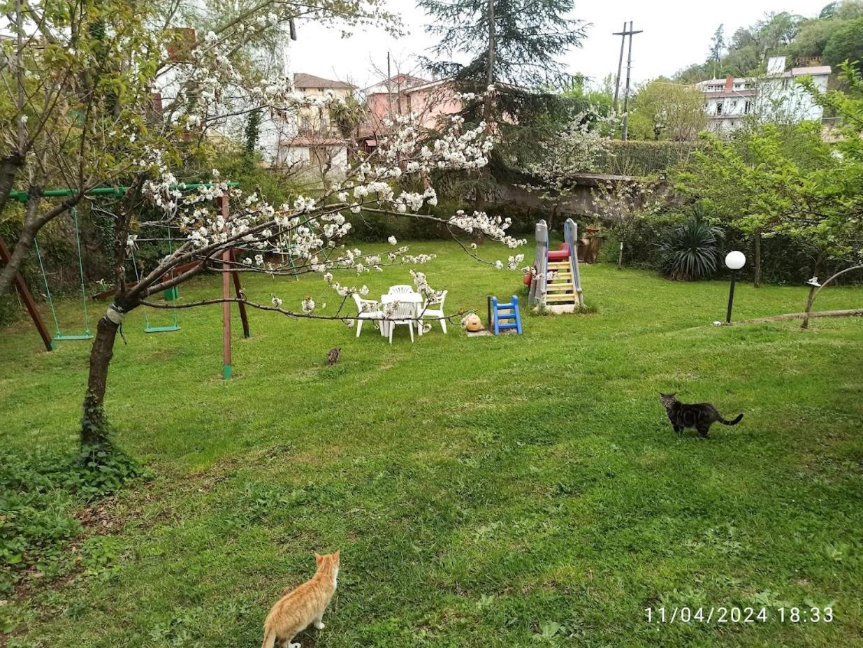 King Hotel Fiuggi Dış mekan fotoğraf